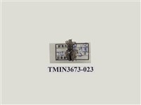 藏品(象鼻蟲(1))的圖片